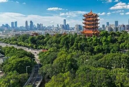 糖心app里面的-以爱之名，探索未知——糖心世界下的情感交织